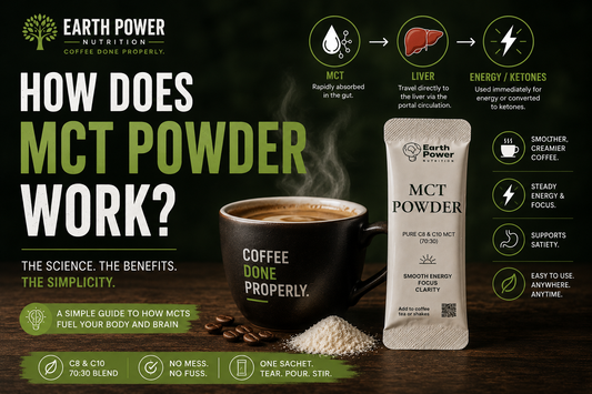 How Does MCT Powder Work? A Simple Guide to What Happens When You Add It to Your Coffee