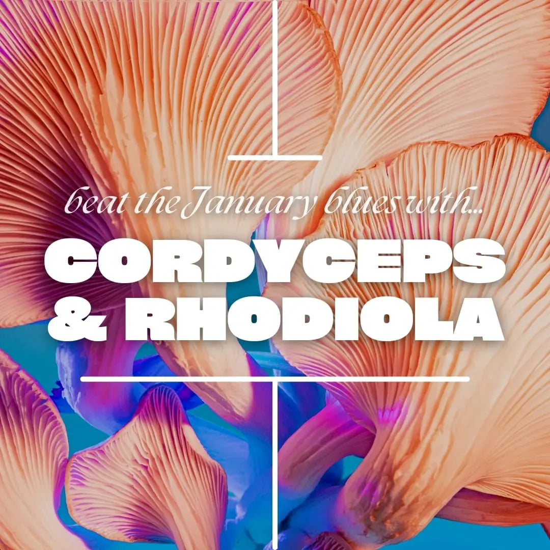 Beat the January blues with Cordyceps and Rhodiola